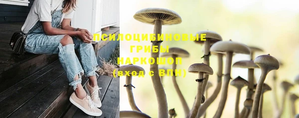 МДПВ Арсеньев